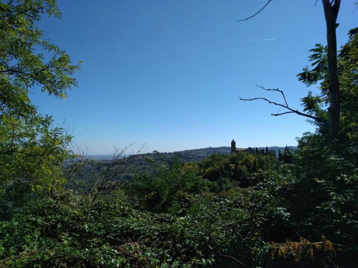 Bed and Breakfast "Cara Pace" In Collina Per Famiglie Montefiore Conca Exterior foto