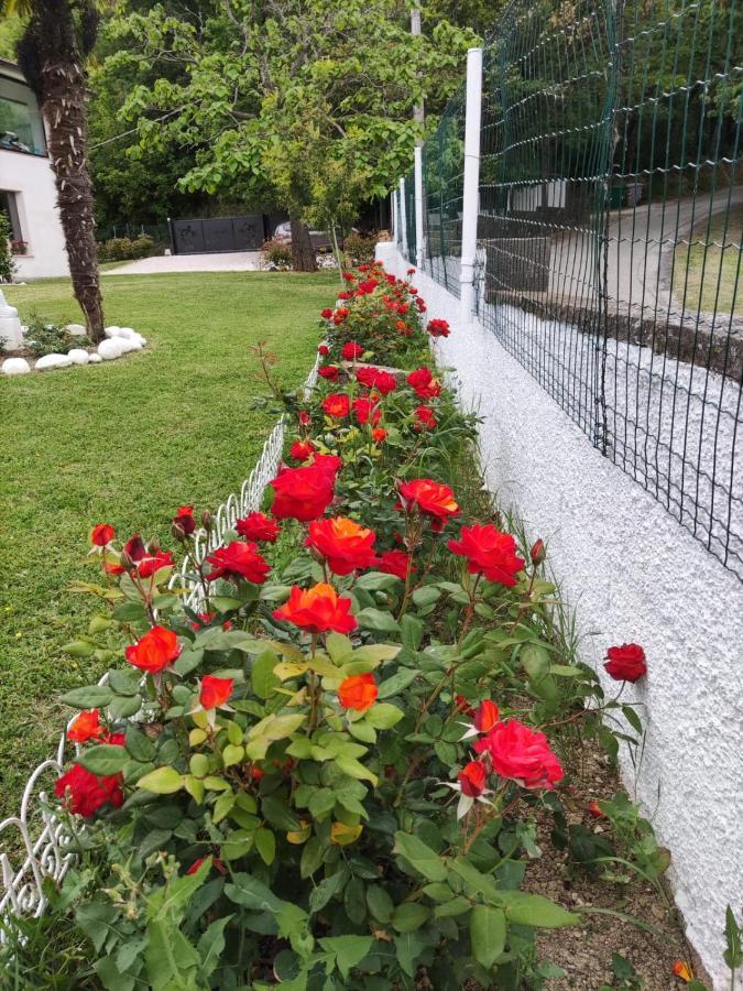 Bed and Breakfast "Cara Pace" In Collina Per Famiglie Montefiore Conca Exterior foto