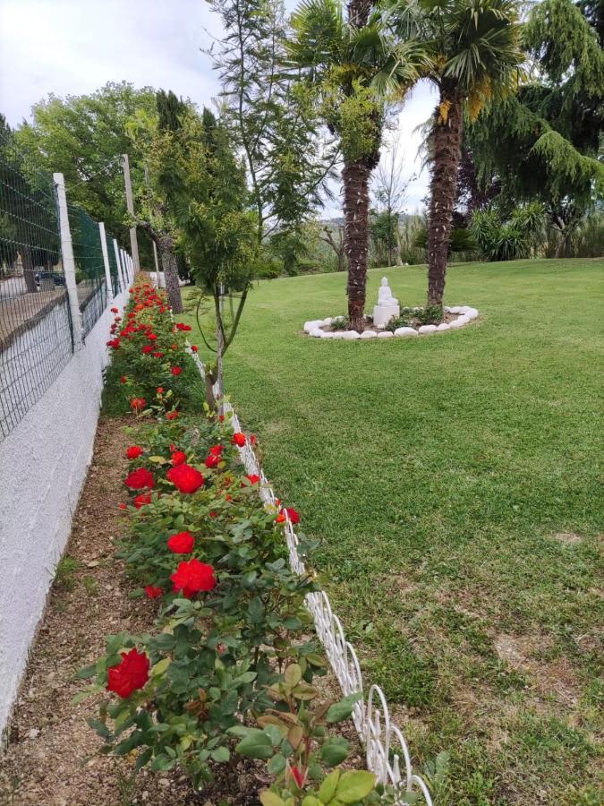 Bed and Breakfast "Cara Pace" In Collina Per Famiglie Montefiore Conca Exterior foto